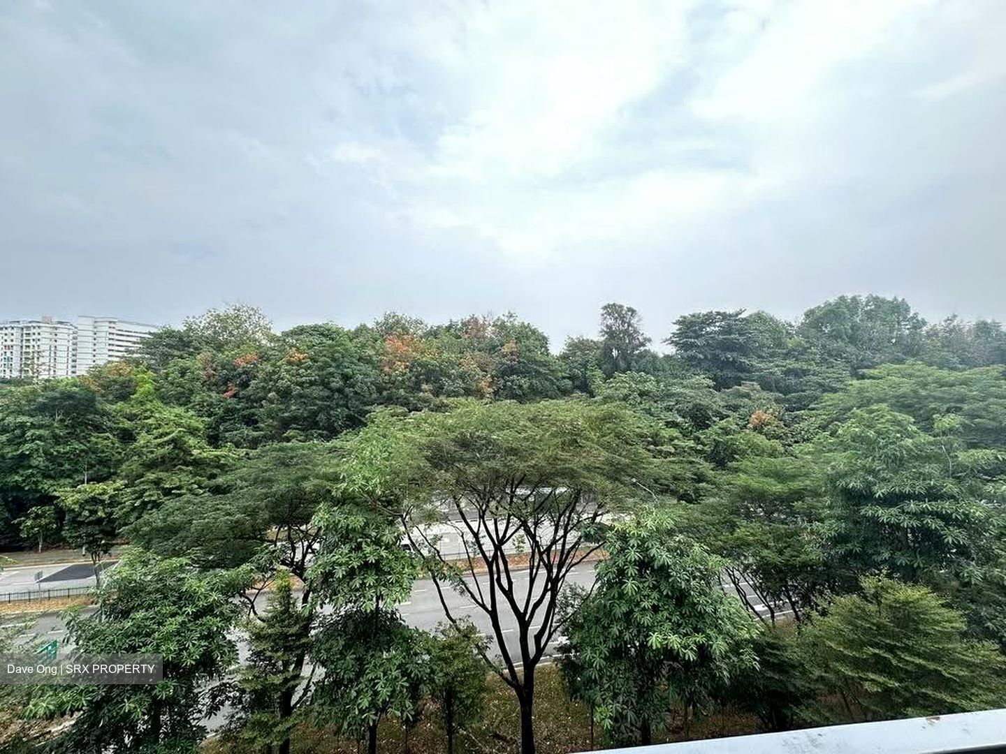 The Visionaire (D27), Condominium #616504211